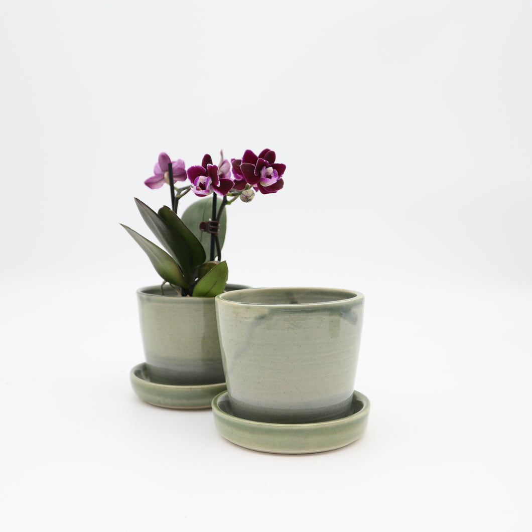Planter, small with a dish